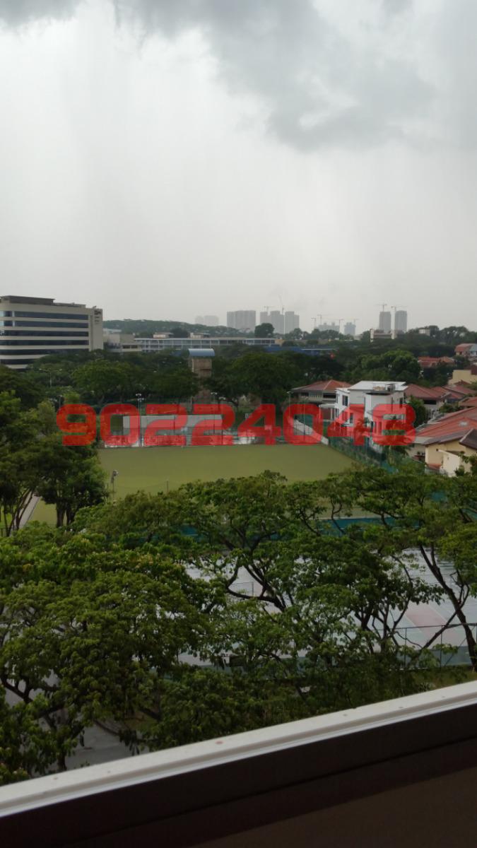 Blk 7 Toh Yi Drive (Bukit Timah), HDB Executive #101697152